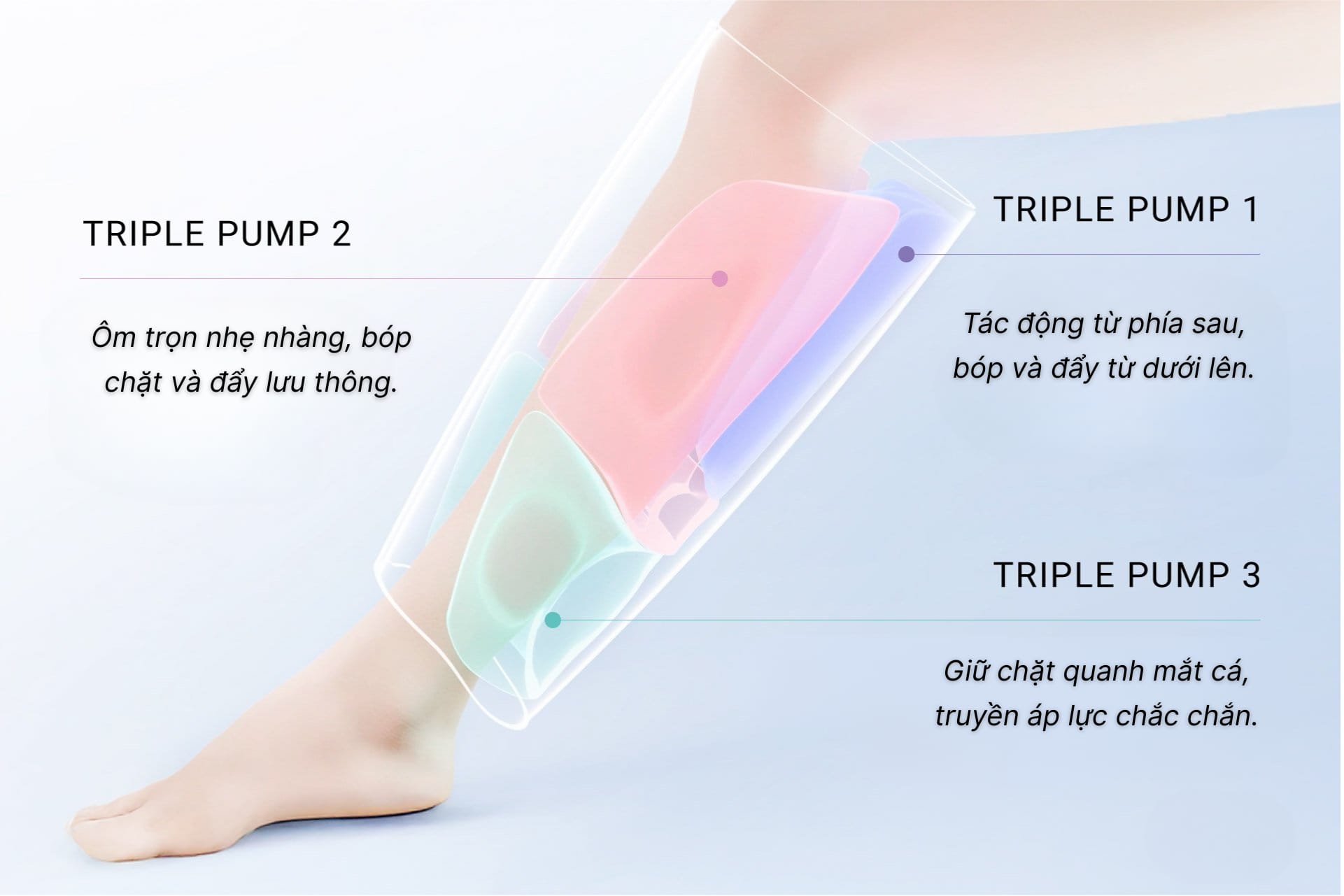 Máy bơm nhào ba đầu