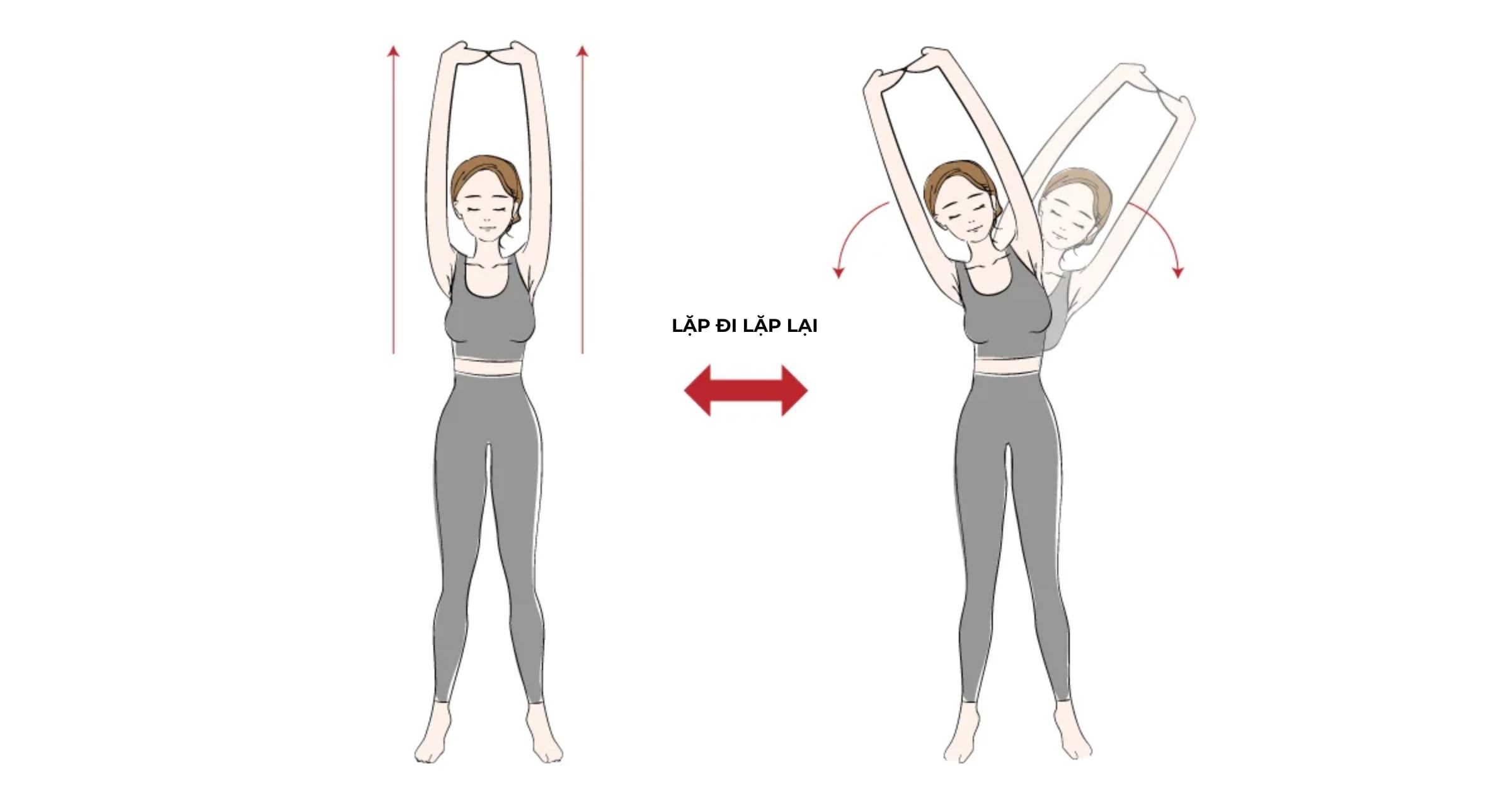 luyện tập giãn cơ