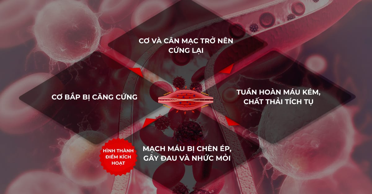 nguyên nhân cơ cứng cần máy massage
